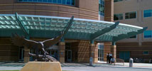 VA Health Staffing Services